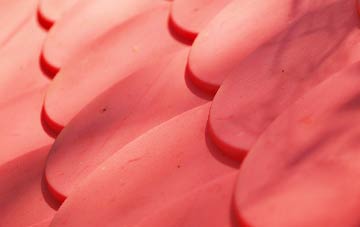 Bradden plastic roof costs