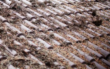 Bradden roof cleaning companies